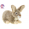 Králik 28 cm Králik 28 cm