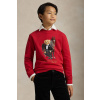Detská bavlnená mikina Polo Ralph Lauren 323A10261001 červená 140-149 Detská bavlnená mikina Polo Ralph Lauren 323A10261001 červená 140-149