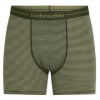 Icebreaker Anatomica Boxer Men zelená L Icebreaker Anatomica Boxer Men zelená L