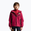 Detská futbalová bunda Nike FC Barcelona Tech Full Zip noble red/black/mineral yellow Detská futbalová bunda Nike FC Barcelona Tech Full Zip noble red/black/mineral yellow
