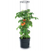 Prosperplast Kvetináč na pestovanie paradajok 28 L TOMATO GROWER antracit 6180042