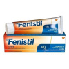 Fenistil 1 mg/g gél gel.der. 1 x 50 g Fenistil 1 mg/g gél gel.der. 1 x 50 g