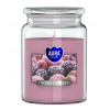 Aura /Bispol/ Aura Bispol Frozen Berries vonná sviečka 500g Aura /Bispol/ Aura Bispol Frozen Berries vonná sviečka 500g