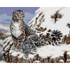 Maľovanie podľa čísel – Leopard snežný s mláďaťom (Howard Robinson), 40 × 50 cm, napnuté plátno na rám 8596530059776 Maľovanie podľa čísel – Leopard snežný s mláďaťom (Howard Robinson), 40 × 50 cm, napnuté plátno na rám 8596530059776