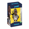 MINIX Football Icon: Pelé - Santos MINIX Football Icon: Pelé - Santos