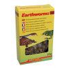 Lucky Reptile Earthworms 10g Lucky Reptile Earthworms 10g