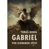 Gabriel - Tomáš Benda - online doručenie Gabriel - Tomáš Benda - online doručenie