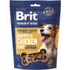 Brit Premium (VAFO Praha s.r.o.) Brit Premium by Nature Dog Semi-moist Snacks Chicken with Raspberry 180 g Brit Premium (VAFO Praha s.r.o.) Brit Premium by Nature Dog Semi-moist Snacks Chicken with Raspberry 180 g