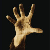 System Of A Down - SYSTEM OF A DOWN (11xLP) System Of A Down - SYSTEM OF A DOWN (11xLP)