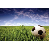 Vliesové fototapety Futbal XL-250 (Fototapeta 330 x 220 cm) Vliesové fototapety Futbal XL-250 (Fototapeta 330 x 220 cm)