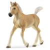 Schleich Halfinger žriebätko Schleich Halfinger žriebätko