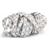 Svietidlo - svetelný zdroj - TAŚMA LED 5050 300LED 5M IP20 12V RGB (Svietidlo - svetelný zdroj - TAŚMA LED 5050 300LED 5M IP20 12V RGB) Svietidlo - svetelný zdroj - TAŚMA LED 5050 300LED 5M IP20 12V RGB (Svietidlo - svetelný zdroj - TAŚMA LED 5050 300LED 5M IP20 12V RGB)