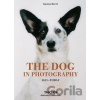 The Dog in Photography - Raymond Merritt The Dog in Photography - Raymond Merritt