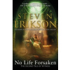 No Life Forsaken No Life Forsaken