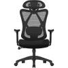 Kancelárske kreslo, Ergonomické kreslo s nastaviteľnou opierkou hlavy, čierne Kancelárske kreslo, Ergonomické kreslo s nastaviteľnou opierkou hlavy, čierne