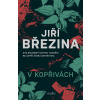 V kopřivách (Jiří Březina) V kopřivách (Jiří Březina)