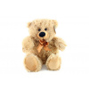 Plyš Medvěd menší 33 cm Plyš Medvěd menší 33 cm