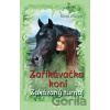 Zaříkávačka koní - Zakázaný turnaj - Gina Mayer Zaříkávačka koní - Zakázaný turnaj - Gina Mayer