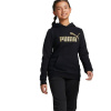 Dievčenská mikina s kapucňou Puma Essentials Dievčenská mikina s kapucňou Puma Essentials