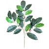 Dekorácia vetvička kávovník 58cm zelená umelá Dekorácia vetvička kávovník 58cm zelená umelá