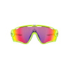 OAKLEY Jawbreaker Retina Burn Prizm road OAKLEY Jawbreaker Retina Burn Prizm road