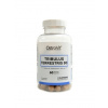 OstroVit Tribulus Terrestris 90 60 kapsúl OstroVit Tribulus Terrestris 90 60 kapsúl