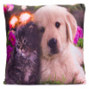 Dekoračný vankúš s LED osvetlením Mačka a pes - 38 x 38 cm Dekoračný vankúš s LED osvetlením Mačka a pes - 38 x 38 cm