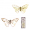 Autronic Motýľ s klipom, 6ks v krabičke, biely s glitrami, cena za 1 krabičku MO1961 Autronic Motýľ s klipom, 6ks v krabičke, biely s glitrami, cena za 1 krabičku MO1961