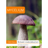 Podhubie Mycélium čierno-hnedého leccinum 10 g Podhubie Mycélium čierno-hnedého leccinum 10 g