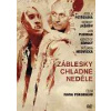 Záblesky chladné neděle - DVD /Plast/ Záblesky chladné neděle - DVD /Plast/