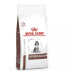 ROYAL CANIN VHN DOG GASTROINTESTINAL PUPPY 1kg -krmivo pre šteňatá proti hnačke a kolitíde ROYAL CANIN VHN DOG GASTROINTESTINAL PUPPY 1kg -krmivo pre šteňatá proti hnačke a kolitíde
