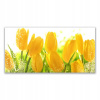 Obrázok s potlačou 140x70 Tulips Flowers Plant (Obrázok s potlačou 140x70 Tulips Flowers Plant) Obrázok s potlačou 140x70 Tulips Flowers Plant (Obrázok s potlačou 140x70 Tulips Flowers Plant)