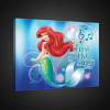 Obraz na plátne obdĺžnik - OB1695 - Disney Ariel 100cm x 75cm - O1 Obraz na plátne obdĺžnik - OB1695 - Disney Ariel 100cm x 75cm - O1