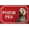 Weimarský stavač krátkosrstý - Kovová tabuľka POZOR PES Weimarský stavač krátkosrstý - Kovová tabuľka POZOR PES