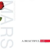 LP 30 Seconds To Mars: A Beautiful Lie LP 30 Seconds To Mars: A Beautiful Lie