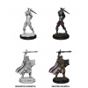 D&D Nolzur's Marvelous Miniatures - Male Human Paladin D&D Nolzur's Marvelous Miniatures - Male Human Paladin