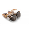 MagicHome Vtáčatká so štipcom hnedé 15x5x5 cm pár 8090507 MagicHome Vtáčatká so štipcom hnedé 15x5x5 cm pár 8090507