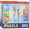 EUROGRAPHICS Puzzle Ľudské telo 200 dielikov EUROGRAPHICS Puzzle Ľudské telo 200 dielikov