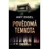 Povědomá temnota - Amy Engel Povědomá temnota - Amy Engel
