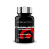 Scitec Nutrition Synephrine 60 kaps Scitec Nutrition Synephrine 60 kaps