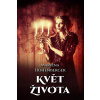 Květ života Květ života