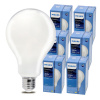 6x LED žiarovka E27 PHILIPS 23W 3452lm Farba 6500k Premium Set A95 6x LED žiarovka E27 PHILIPS 23W 3452lm Farba 6500k Premium Set A95