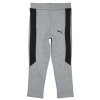 Puma Tepláky/Vrchné oblečenie EVOSTRIPE CORE PANTS Šedá Puma Tepláky/Vrchné oblečenie EVOSTRIPE CORE PANTS Šedá