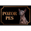 Mexický naháč stredný - Kovová tabuľka POZOR PES Mexický naháč stredný - Kovová tabuľka POZOR PES