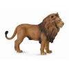 Collecta Africký lev Collecta Africký lev