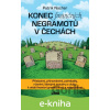 E-kniha Konec finančních negramotů v Čechách - Patrik Nacher E-kniha Konec finančních negramotů v Čechách - Patrik Nacher