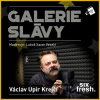 Galerie slávy - Václav Upír Krejčí Galerie slávy - Václav Upír Krejčí