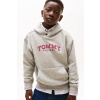 Detská mikina Tommy Hilfiger KB0KB10028.104.122.PPY2 sivá 104 Detská mikina Tommy Hilfiger KB0KB10028.104.122.PPY2 sivá 104