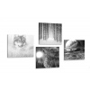 Set obrazov tajuplný vlk v čiernobielom prevedení Set obrazov tajuplný vlk v čiernobielom prevedení