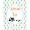 Obraz na plátně 40 x 50 cm digitální tisk - DREAM BIG LITTLE ONE Obraz na plátně 40 x 50 cm digitální tisk - DREAM BIG LITTLE ONE